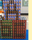 Canstruction
